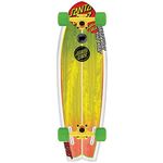 Santa Cruz Longboard Skateboards