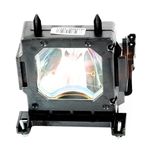 iReijomoi Replacement Lamp LMP-H201 LMP-H202 Bulb with Housing for Sony VPL-HW10 VPL-HW15 VPL-HW20A VPL-VW70 VPL-VW80 VPL-VW90 VPL-VW90ES VPL-VWPRO1 VPL-VW85 VPL-GH10 VPL-HW30AES Projectors