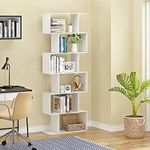 Skinny Bookshelf