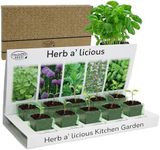 Pronto Seed Grow Your Own Herbs Kit