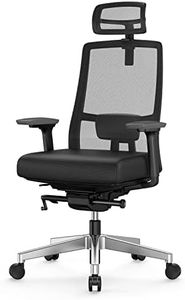 Duwinson Ergonomic Home Office Chair With 4-Way Adjustment Armrest, Mesh Computer Desk Chair, Reclining Adjustment Back Support, Adjustable Headrest, Padded Lumbar Support, Swivel Slidable Seat