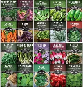 Indoor Garden Vegetables Hydroponic Apartment Garden - Non-GMO Heirloom Vegetable Varieties for Small-Space Patio Garden - Hydroponics-Friendly - Plant Indoors or Outdoors - Survival Garden Seeds