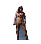 Advanced Graphics Fabio Life Size Cardboard Cutout Standup