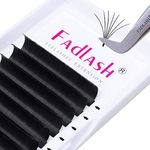 Eyelash Extensions Thickness 0.03 D Curl 11mm Premade Fans 2D-10D Easy Fan Lash Self Fanning|Optinal C/D Curl Salon Use By FADLASH (0.03-D,11mm)