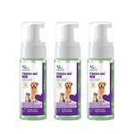 Natural Remedies Fresh Me Up Mild Waterless Foam Cleanser Dry Shampoo for Dogs, Cats and Pups of All Breeds, Moisturizer & Conditioner, Daily Use, Lick Safe, Natural and Safe, 140 ml (Pack of 3)