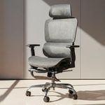 DROGO Ergonomic Office Chair for Work from Home, Computer Chair with Breathable Mesh, Adjustable Seat, Footrest, 3D Armrest, 2D Headrest & Lumbar Support | Mesh Chair for Office/Home (Grey)