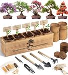 Avergo Bonsai Tree Kit – 5X Unique Japanese Bonzai Trees | Complete Indoor Bonsai Starter Kit for Growing Bonsai Plants with Tools & Planters – Gardening Gifts for Women & Men