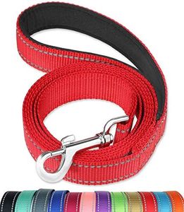 FunTags 6FT Reflective Dog Leash with Soft Padded Handle for Training,Walking Lead for Large, Medium,RED