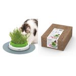 Catit Senses 2.0 Cat Grass Kit, pack of 3 + Catit Senses 2.0 Grass Planter (43161W)