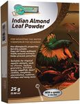 Greenwaterfarm Concentrated Indian Almond Leaf Powder for Immune Boosting Properties, Heal Wounds, Balance The pH, and Water Treatments in Freshwater Aquarium