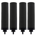 Renami 1 Micron Water Filter Replacement for Berkey® BB9-2® Black Purification Elements, Compatible with Berkey® Gravity Filter System, Pack of 4