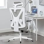 KERDOM Office Desk Chair,Ergonomic Swivel Chair with Adjustable Headrest and Lumbar Support,High Back Mesh Computer Chair with 130° rocking Lock for Home Office Light Gray