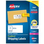 Avery Shipping Address Labels, Laser Printers, 1,000 Labels, 2x4 Labels, Permanent Adhesive, TrueBlock (5163)