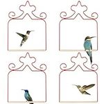 Eyrosa Hummingbird Swings 4 Pack, R