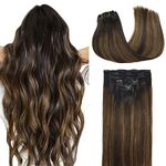 DOORES Clip in Hair Extensions Real Human Hair, Balayage Dark Brown to Chestnut Brown 12 Inch 7pcs 80g, Human Hair Clip in Extensions Extensions For Women Clip in Natural Hair Extensions Straight Hair