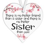 Maise & Rose Sister Gifts | Sister Gift Form Sister | Best Sister Gift | There's No Better Friend Than A Sister Plaque | Thank You Present | Wooden Heart Friend Sign | HT5