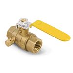 Everflow Supplies 405T001-NL brass Full Port Ball Valve With Drain 1 Inch IPS Threaded - Lead Free