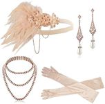 1920s Flapper Gatsby Costume Access