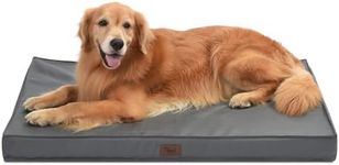 Tail Stories Outdoor Extra Large Do