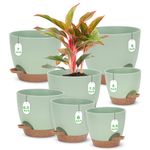 Self Watering Planter Set, 7Pack Medium Plastic Pot with Mesh Drainage Holes and Removable Reservoir Saucers, Modern 8+7.5+7+6.5+6+5.5+5 Inch Bottom Watering Flower Pots for Indoor Plants - Green
