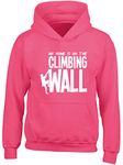 Hippowarehouse My Home is on The Climbing Wall kids children's unisex Hoodie hooded top Fuchsia Pink