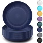 Kyraton Large Deep Plastic Plates 8 Pieces, 9 Inch Dinner Plates, Unbreakable and Reusable Light Weight Dinner Plates Pasta and Dumpling Bowl Microwave Safe