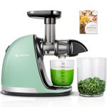 AMZCHEF Slow Juicer Machine - Masticating Juicer with Reversing Function to Prevent Jamming - Cold Press Juicer with Brush and 2 Cups - Silent Juice Extractor - Green