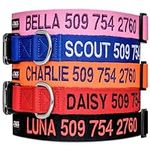 GoTags Personalized Dog Collar, Cus