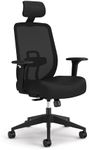 HON Altern Ergonomic Office Chair w