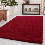 Abaseen Small Large Shaggy Rug Modern Rugs Living Room Extra Large Small Medium Rectangular Size Soft Touch Thick Pile Living Room Area Rugs Non Shedding (Red, 160x230 cm)