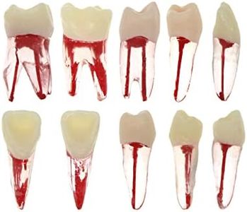 10Pcs Dent