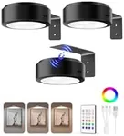 EZVALO Picture Lights for Wall, 200