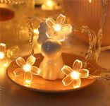 LIGHTSKART 50LED 7.5M Cherry Blossom Flowers String Lights for Diwali,Christmas Tree,Ganpati Festival,Home Indoor Outdoor Decoration Lights (Warm White)