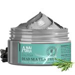 ANAiRUi Dead Sea Tea Tree Mud Mask, Clay Mask Skincare with Activated Charcoal & Tea Tree Oil for Women and Men, 120g