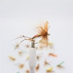 BestCity Fly Fishing Season Select Daddies Daddy Longlegs 24 Flies Mixed Sizes 6-12