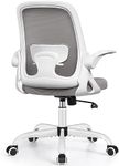 Winrise Office Chair Ergonomic Desk