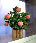 Artificial Fruit For Decoration