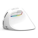 Delux Wireless Vertical Ergonomic M