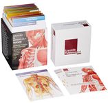 Anatomy and Physiology Flash Cards: Increasing Knowledge of the Human Body