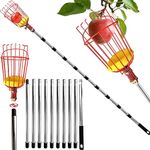 4.3M Fruit Picker, Apple Picker with Telescopic Handle, Fruit Picker Tool with Lightweight Stainless Steel Connecting Pole and Basket, Fruit Grabber Easy to Assemble, Tree Picker for Orange Lemon Etc