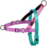 Didog No Pull Dog Harness with Soft Padded Handle, Quick Fit & Lightweight Adjustable Vest Harness, Easy for Training Walking for Small & Medium and Large Dogs(Dark Green,S)