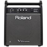 Roland PM-100 Compact Electronic V-Drum Set Monitor, 80-Watt