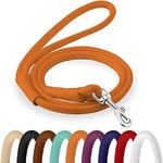 CollarDirect Rolled Leather Dog Leash 6ft, Soft Training Leather Dog Leash for Puppy and Grown Dog Small Medium Large Black Blue Red Orange Green Pink White (Orange, Size M 6ft)