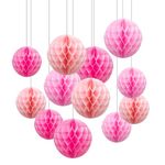 ZYOOO 12pcs Paper Honeycomb balls,15/25cm Tissue Paper Hanging Balls for Girls Birthday,Wedding,Engagement,Holidays,Baby Shower,Bridal Shower Decorations(Pink Set)