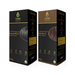 V-Truss Organics Hair Colour | Natural and Healthy Shine | Long Lasting Conditioning Hair Color | Chemical free With No Ammonia, No Bleach & No Peroxides | For Women & Men |150g - Natural Black + Brown Combo(Pack of 2)