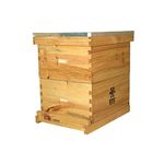 DTC 20 Frames Langstroth Beehive Box for Beekeeping, Farmhouse, Backayard Beekeepers (Deep Brood + Super)