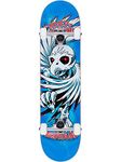 Birdhouse Stage 1 Hawk Spiral Complete Skateboard - Blue 7.75"