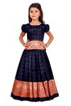 FELIZ THE DESIGNER STUDIO New south Indian traditional pattu pavadai Jecquard Lehenga choli for girls dress,Blue-Red