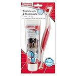 Beaphar | Toothbrush & Toothpaste Dental Care Kit | For Dogs & Cats | Includes a Double-Ended Toothbrush & Liver-Flavoured Enzymatic Toothpaste, 100g Tube, 2 Count ( Pack of 1)