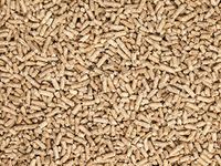 Elysian Wood Cat Litter Biodegradable Natural Wood Pellets Smart Quick clumping, Non Scented, Light Weight, Natural Litter for Cats and Kittens, Chemical Free 15 KG